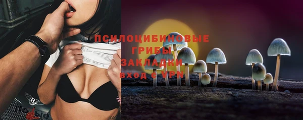 спиды Аркадак