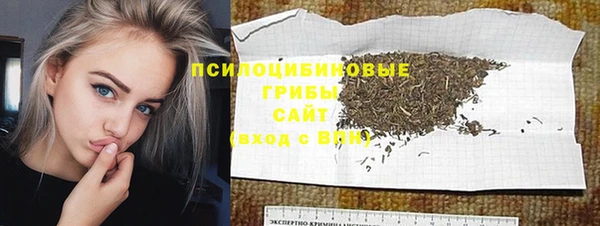 спиды Аркадак