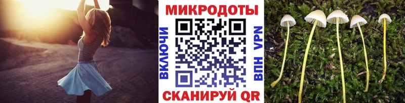 Псилоцибиновые грибы мицелий  цены наркотик  Каневская 